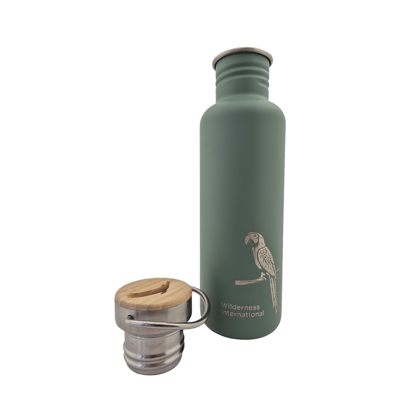 Edelstahl Trinkflasche Classic Wilderness 800ml Bambus-Schraubverschlu –  Klean Kanteen Germany