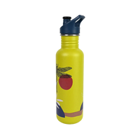 Edelstahl Trinkflasche Classic Greensurance Libelle 800ml Sport Cap
