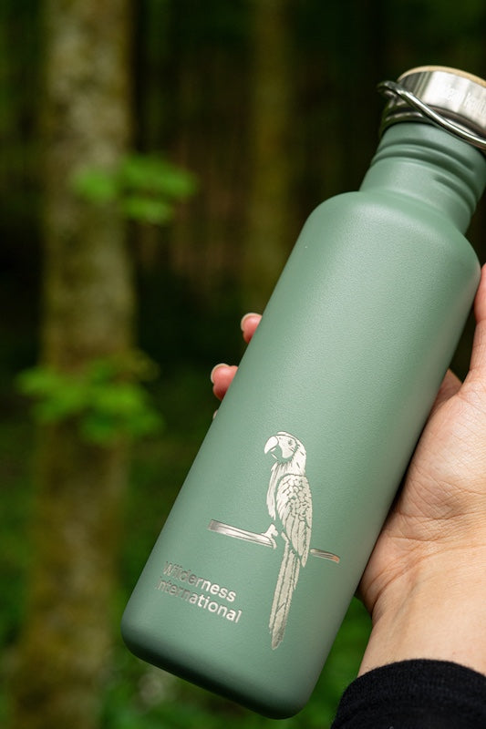 Edelstahl Trinkflasche Classic Wilderness 800ml Bambus-Schraubverschlu –  Klean Kanteen Germany