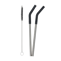 Edelstahl Trinkhalme 2er Set 8mm mit Trinkhalmbürste